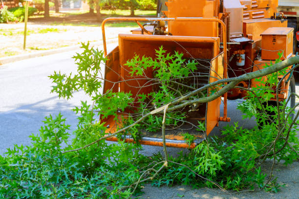 Trusted Mcdonald, PA Tree Service Experts